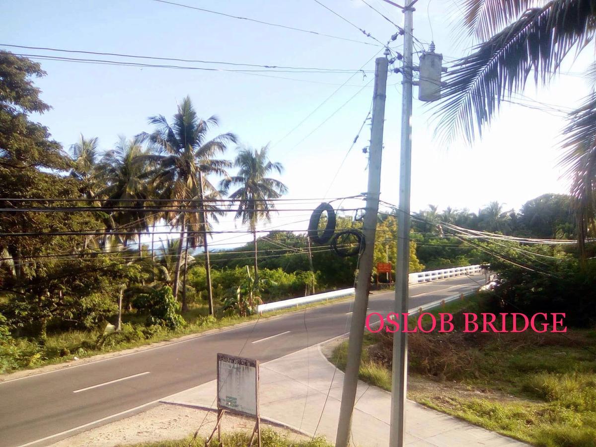 Rising Sun Pension House Oslob Exterior photo